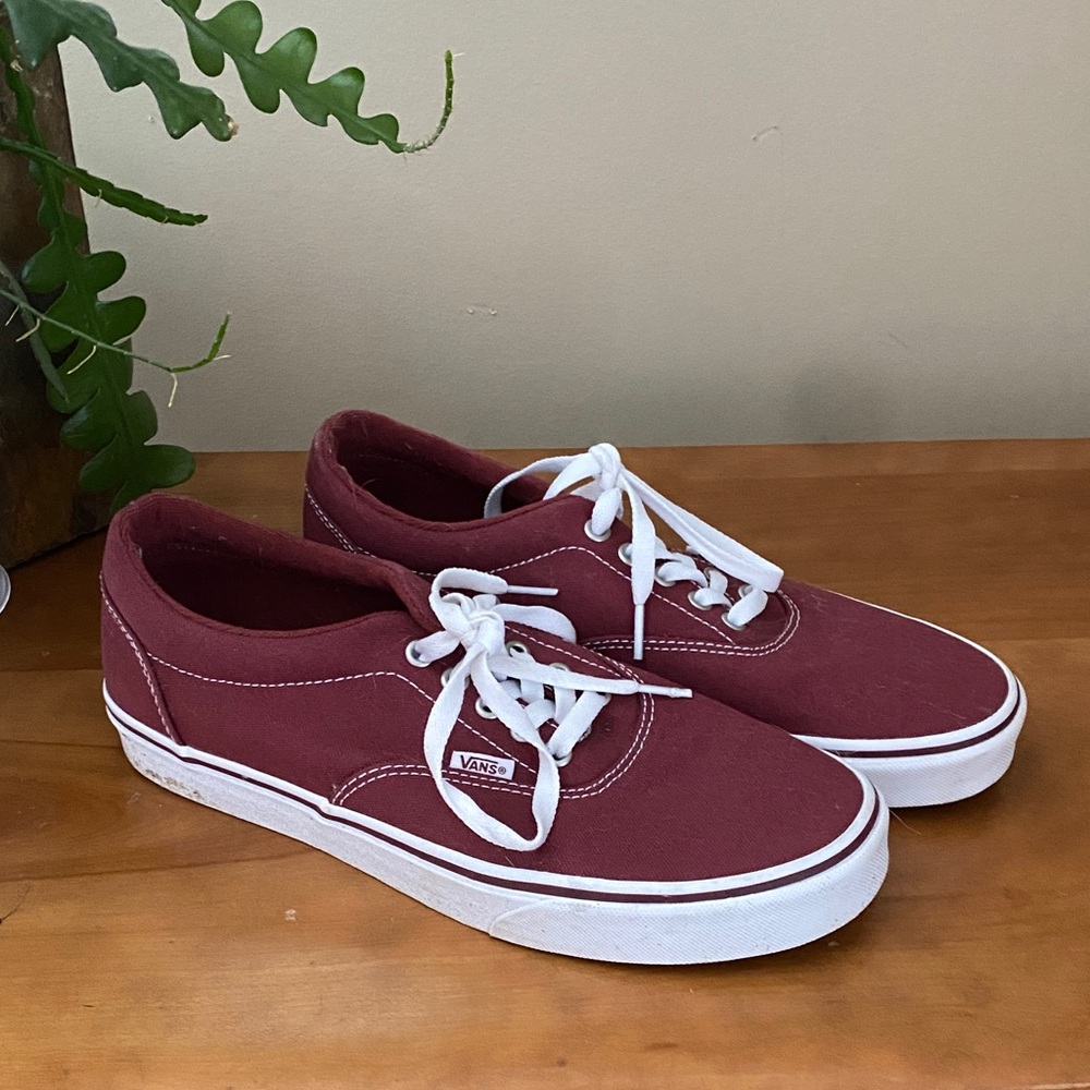 Vans Doheny Low Skate Shoes